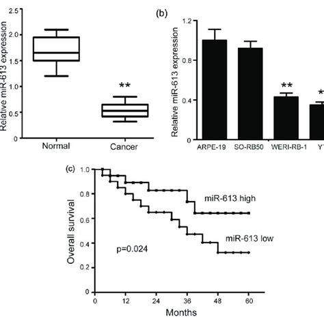 Mir Inhibits Migration And Invasion In Rb Cells A And B Mir