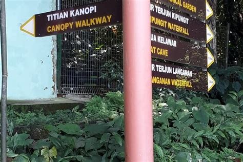 Kinabalu Park Day Trip Power Traveller