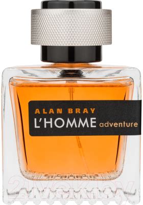 Alan Bray L'Homme Adventure for Men (100мл) Туалетная вода купить в ...