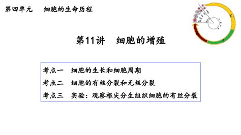 高三生物一轮复习课件：细胞的增殖word文档在线阅读与下载无忧文档