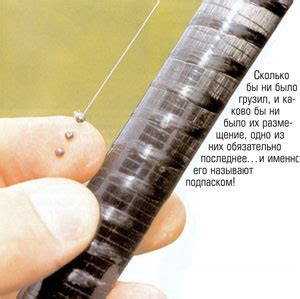 Подпасок