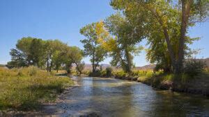 Walker River State Recreation Area | Walker River Camping