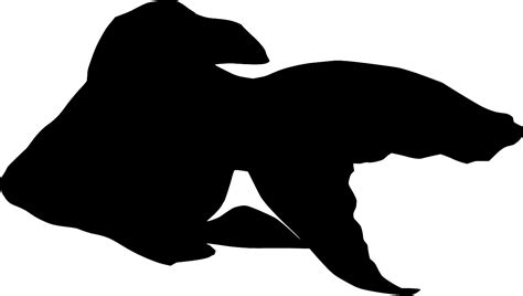 SVG > fish tail pet goldfish - Free SVG Image & Icon. | SVG Silh