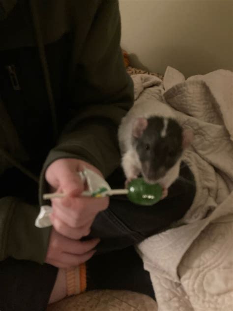 Stupid Fuck Tumblr Communities