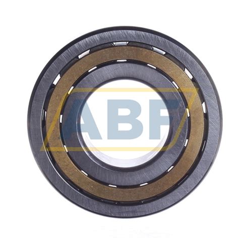 NJ309-E-M1 FAG • ABF Store