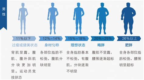 胖不胖别光看体重，体脂率才是关键中国医疗