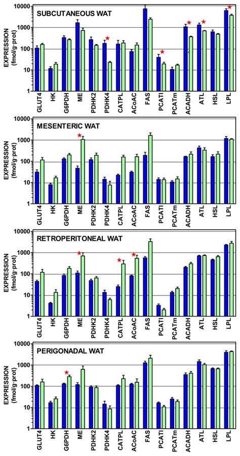 Effects Of Sex And Site On Amino Acid Metabolism Enzyme Gene Expression And Activity In Rat
