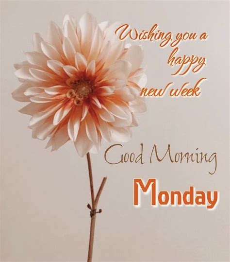 Have A Very Blessed Monday And Spectacular Week Artofit