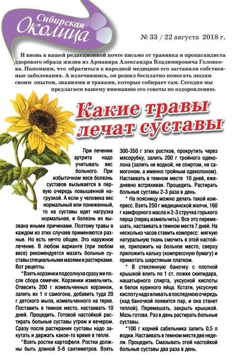 Какие травы лечат суставы | Средства для восстановления здоровья ...