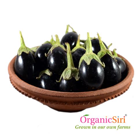 Organic Brinjal Round Black 500g Organicsiri Farms