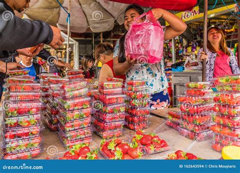 The Kea Farm Market In Cameron Highlands Editorial Stock Image Image