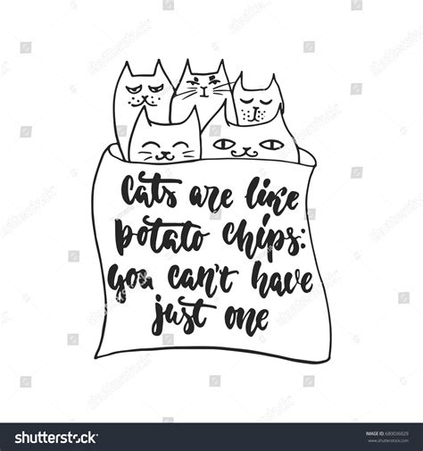 can cats have sweet potato 6