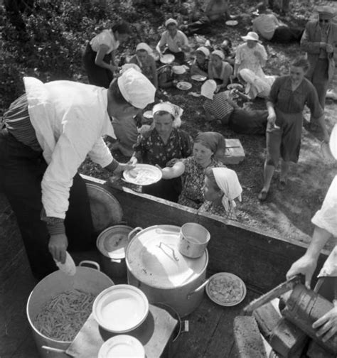 Фото "Обед в поле", 1957 год, Тамбовская обл., колхоз «Коминтерн ...