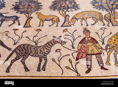 Colourful Mosaics Inside The Moses Memorial Church Mt Nebo Jordan