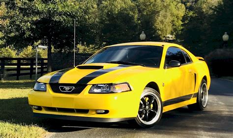 Screaming Yellow 2004 Ford Mustang GT Coupe MustangAttitude Photo