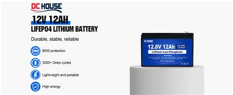 DCHOUSE 12 V 12 Ah LifePo4 Battery Deep Cycles With 15 A BMS 10 Year