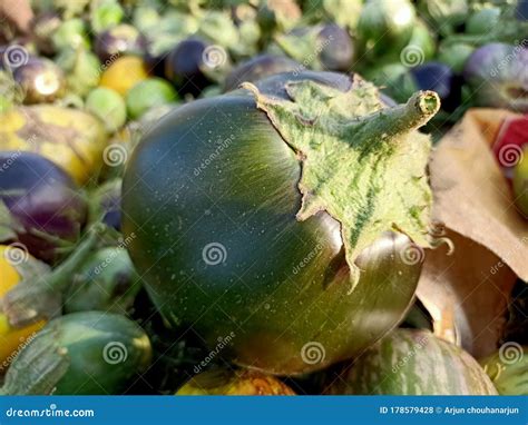 Indian Desi Green Baingan Organic And Healthy Food Stock Photo Image