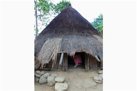 Rumah Bulat Rumah Tradisional Ntt Yang Rentan Penyakit