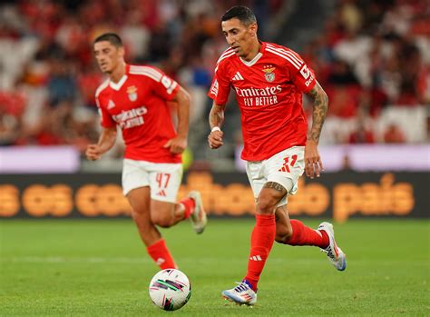 Escalações De Atlético Clube De Portugal X Benfica - Benfica x Atlético de Madrid: onde assistir e escalações para jogo da ...