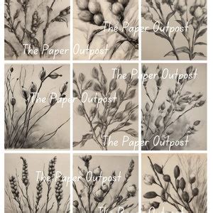 PUSSYWILLOW Vintage Digikit Digital Kit Digital Printable Digital Pussy Willow Fall Autumn Dried