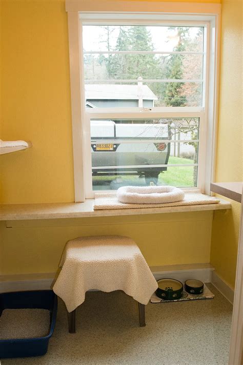 Private rooms - Arnold Creek Cat Retreat
