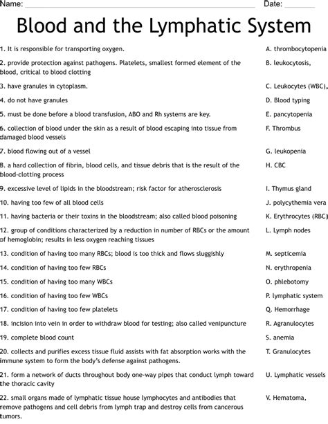 Blood And The Lymphatic System Worksheet WordMint