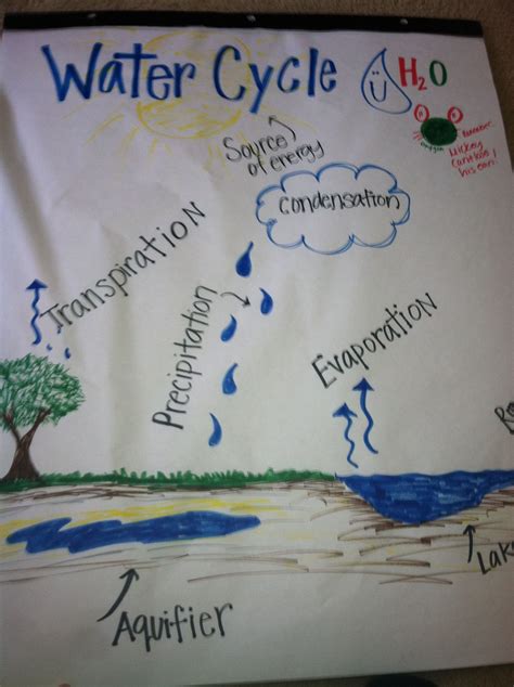 Water Cycle Anchor Chart