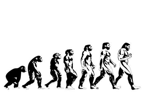 Evolution Of Man Computer Wallpaper