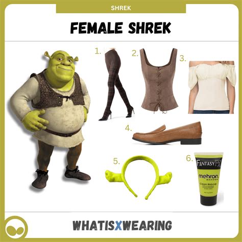 Female Shrek DIY Costume Guide