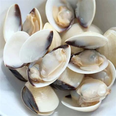 ngao ngheu kg