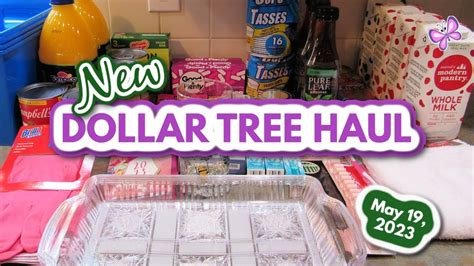 FUN NEW DOLLAR TREE HAUL From Laurel MD And Manchester PA May 19