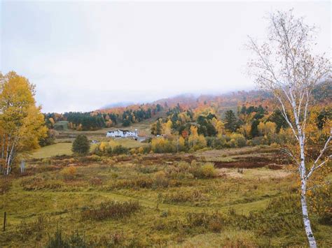 brownsville visit oregon