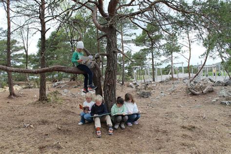 Markering Av Nynorskdagen Nynorsksenteret