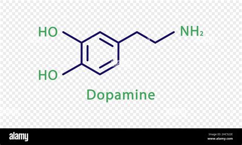 Dopamine Chemical Formula Dopamine Structural Chemical Formula