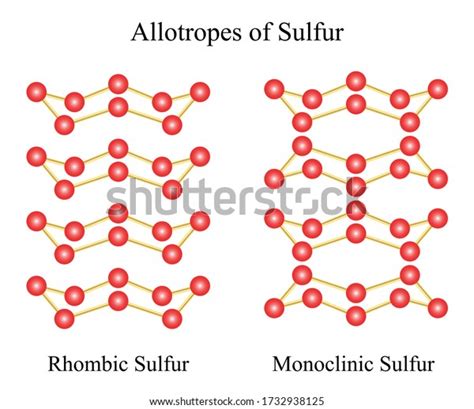 Illustration Chemical Allotropes Sulfur Including Two Stock Vector