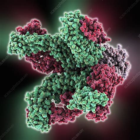 Potassium ion channel cavity structure - Stock Image - C014/7692 ...