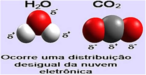 Anima O De Liga O Covalente Polar