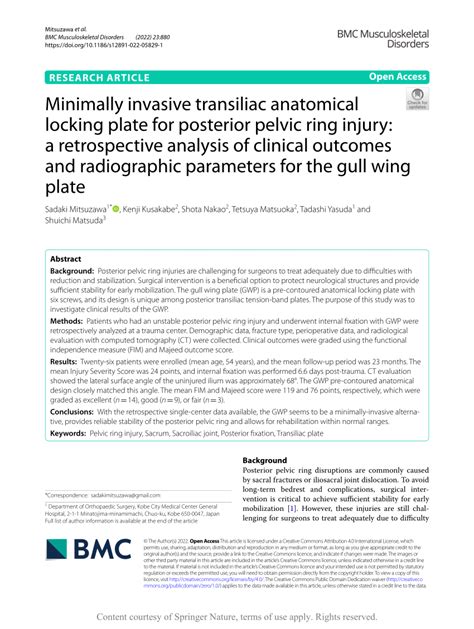 Pdf Minimally Invasive Transiliac Anatomical Locking Plate For