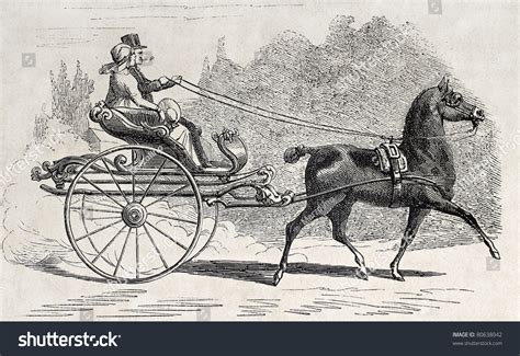 Horse Cart Drawing Photos and Images | Shutterstock