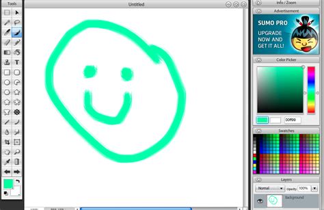 paint program johns esl classes