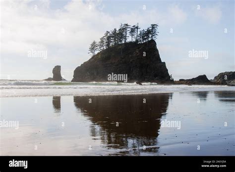 Famous La Push beach from Twilight saga in Washington. Coastal view ...