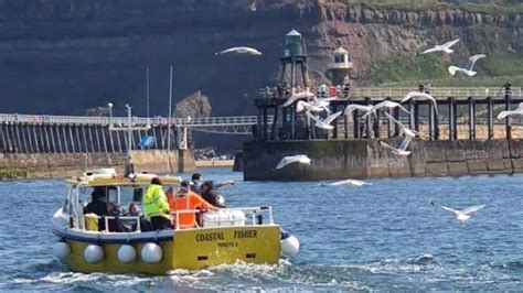 Whitby Fishing Guide Boat Fishing Trips And Pier Fishing Information