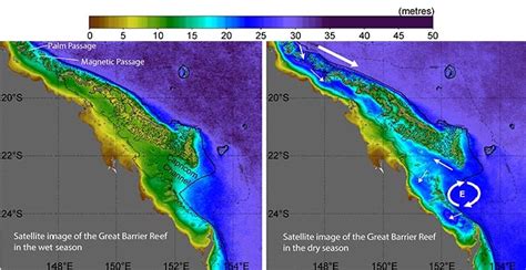 New Study Shows Impact Of Sediment On Great Barrier Reef Worse Than