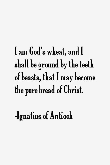 Ignatius of Antioch Quotes & Sayings