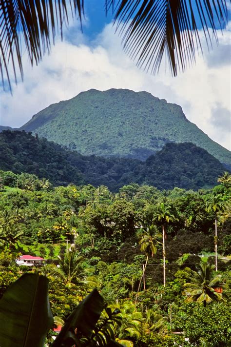 Best Things to Do in Dominica, the Caribbean’s ‘Nature Island’ | Condé