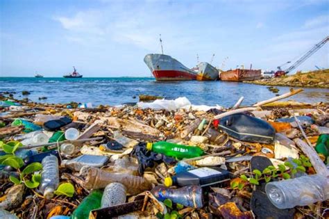 Impacto Do Plastico No Meio Ambiente