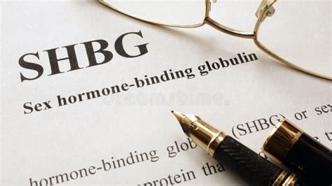 Document With Sex Hormone Binding Globulin SHBG Stock Photo Image Of Health Biology