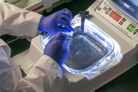 Anatomic Pathology Lab Services – AcelaBio