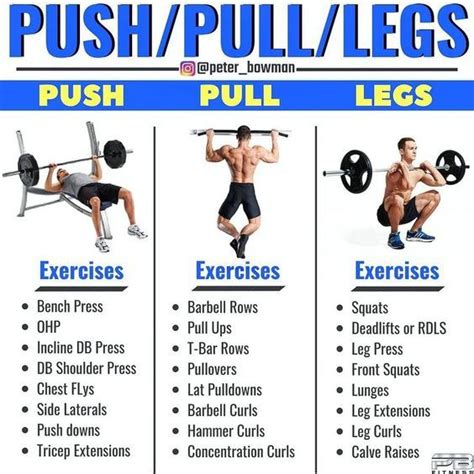 Push Pull Legs Vs Day Split