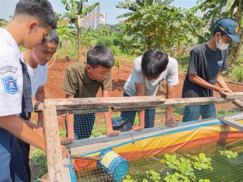 Smpn 23 Depok Luncurkan Ekstrakurikuler Urban Farming Club Apa Itu